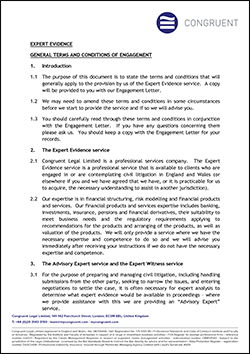 Expert Witness Terms and Conditions